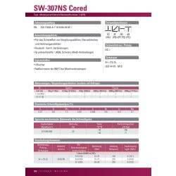 Hyundai SW-307NS Cored / T 18 8 M M 3 (1.4370) F&uuml;lldraht